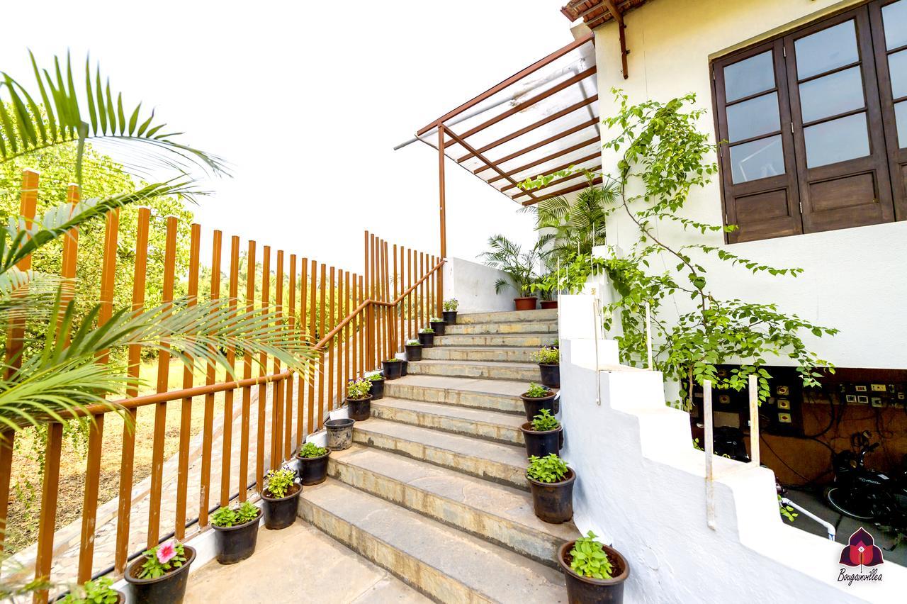 Bougainvillea Hotel Alibág Kültér fotó